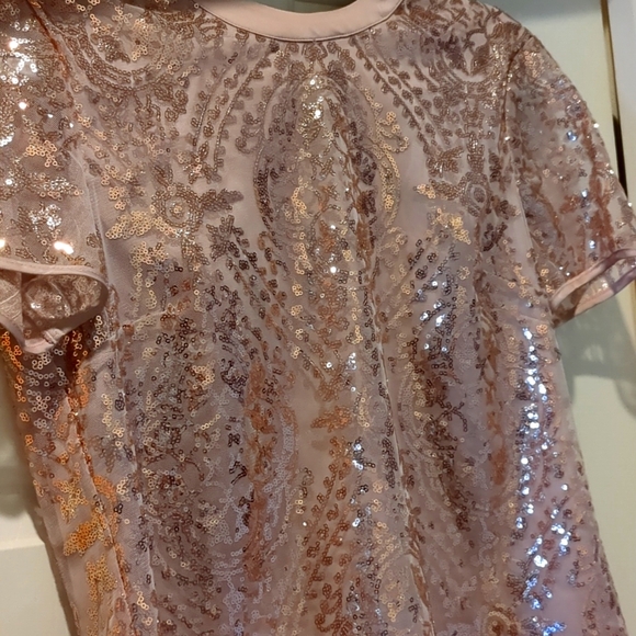 Eva Mendes | New York & Company | Pink Rose Gold Sequin Top XS - Picture 2 of 8